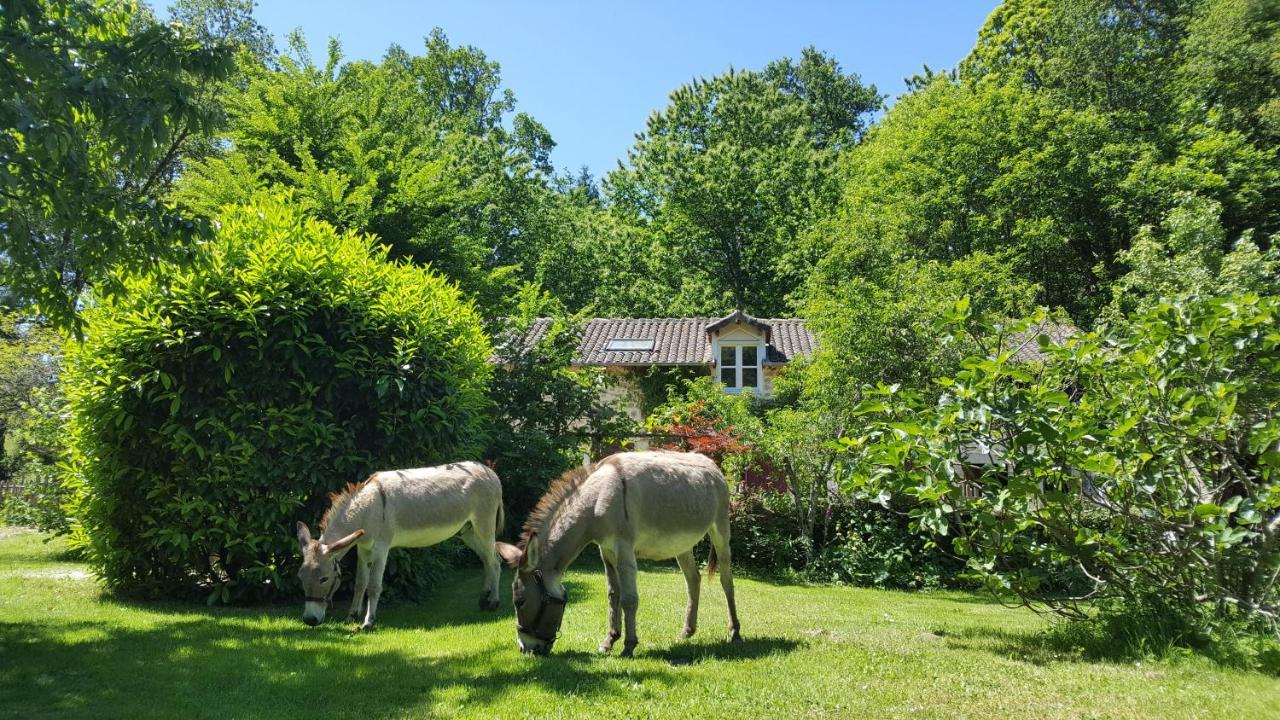 Le Moulin De Pensol - Gites Bagian luar foto