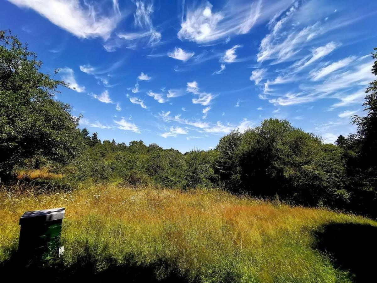 Le Moulin De Pensol - Gites Bagian luar foto
