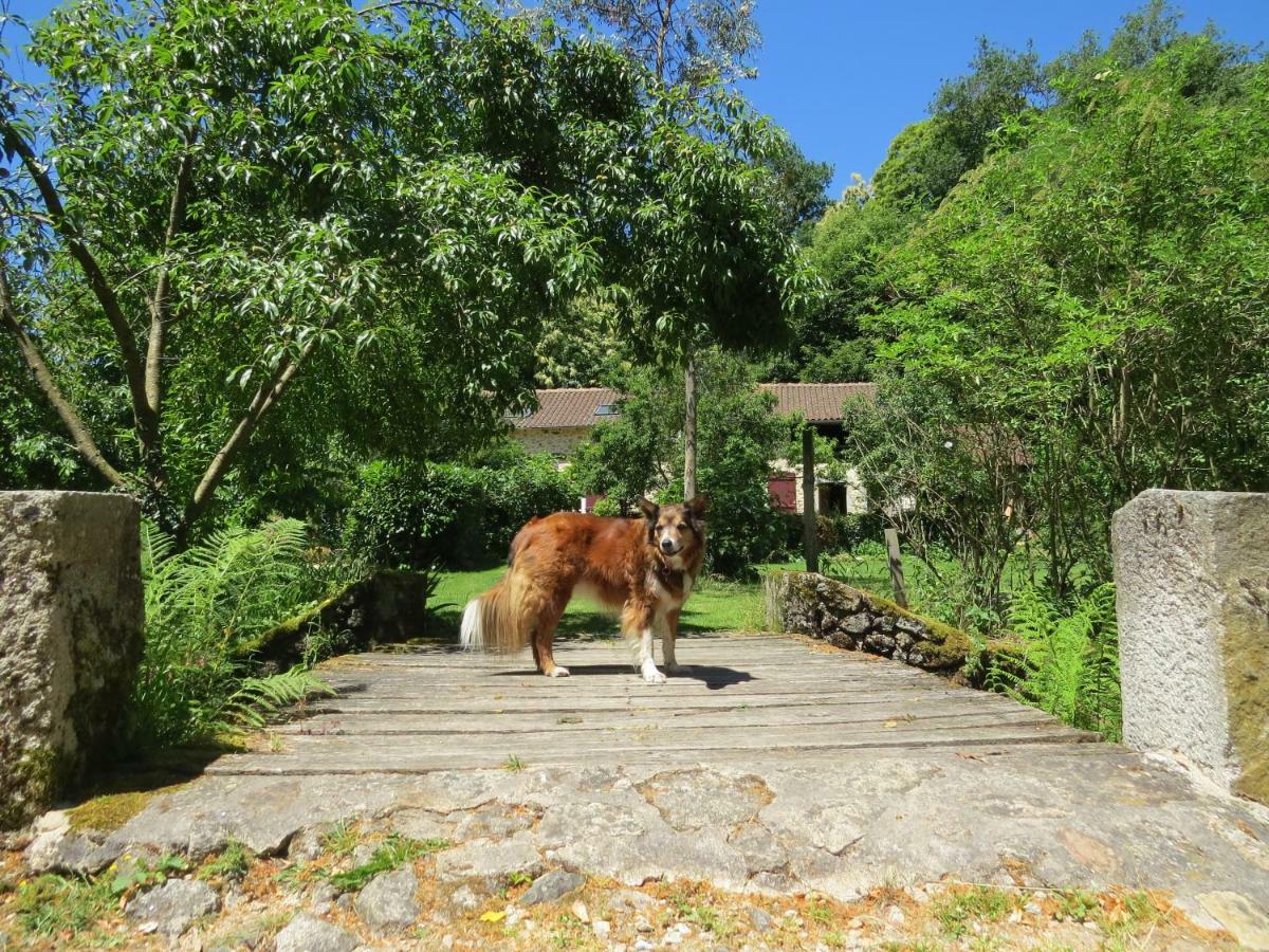 Le Moulin De Pensol - Gites Bagian luar foto