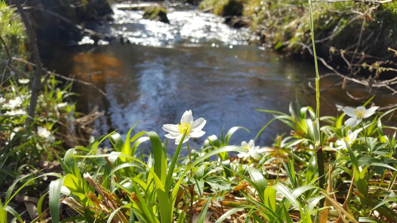 Le Moulin De Pensol - Gites Bagian luar foto